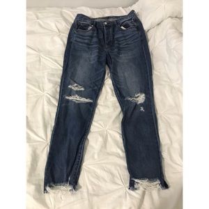 American Eagle Mom Jeans
